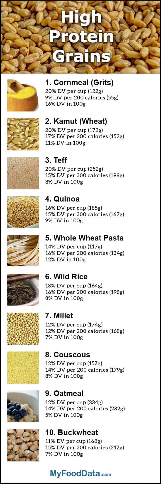 Top 10 Grains Highest in Protein