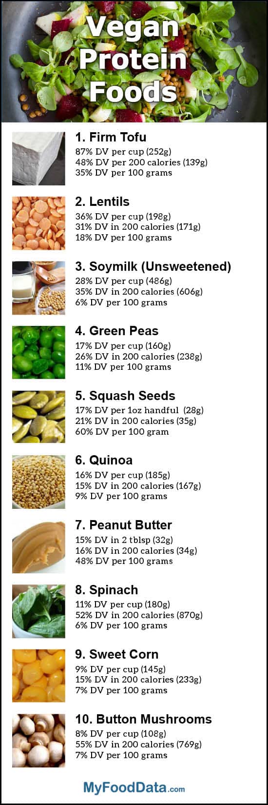 Protein In Nuts Chart