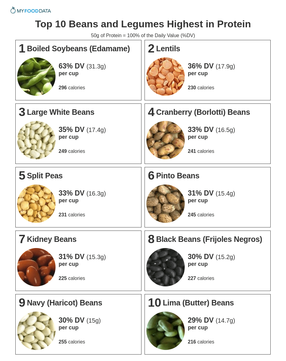 7 Pulses That Are High In Protein