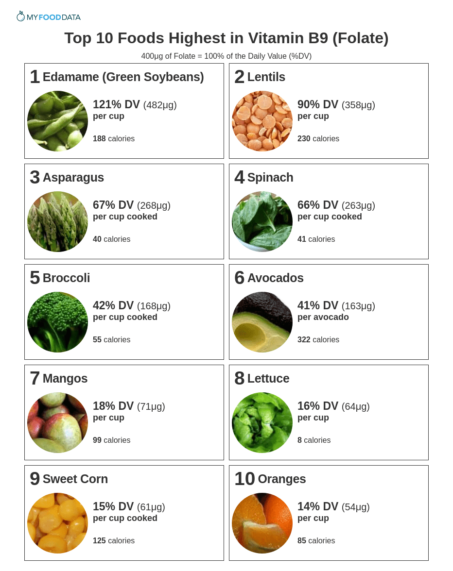 A printable list of foods high in folate. High folate foods include beans, lentils, asparagus, spinach, broccoli, avocado, mangoes, lettuce, sweet corn, and oranges, and whole wheat bread.