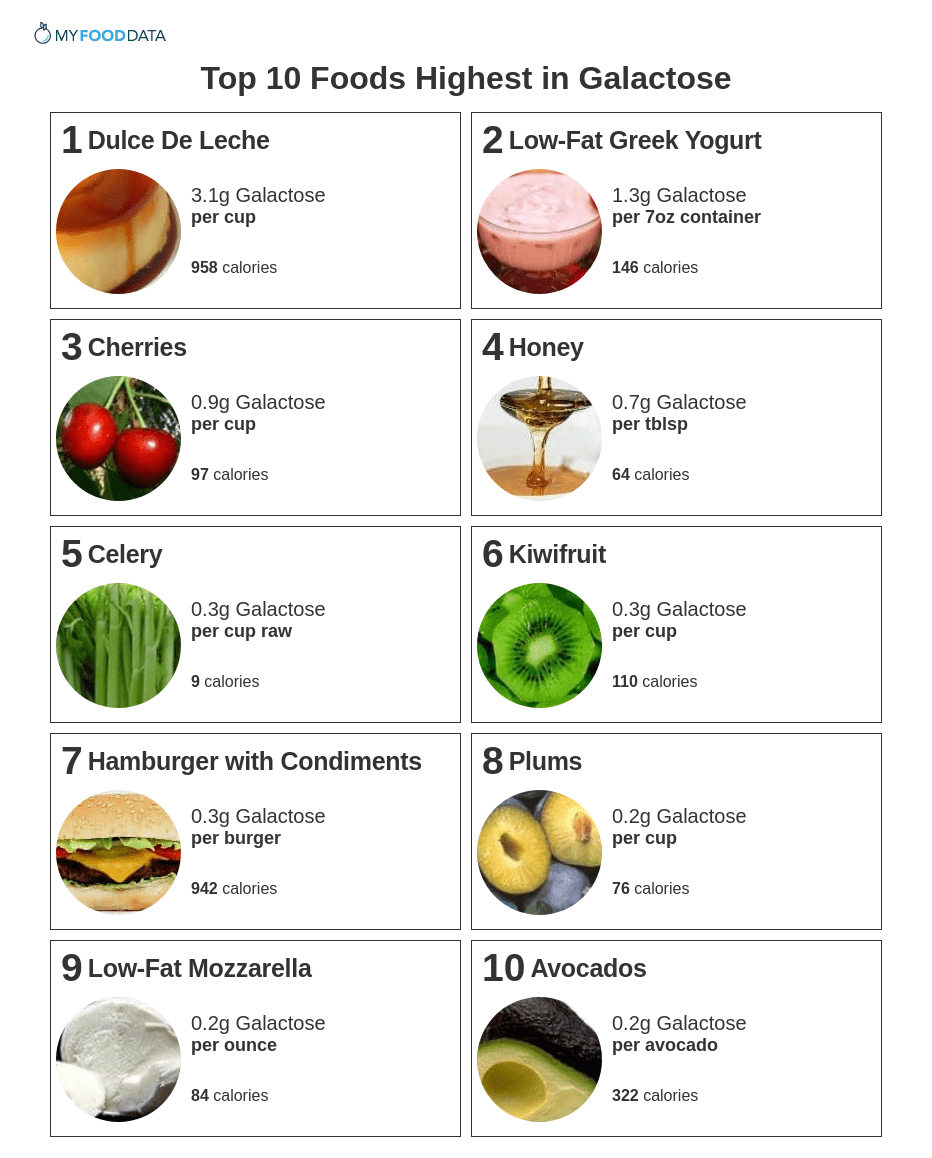 Top 10 Foods Highest in Galactose