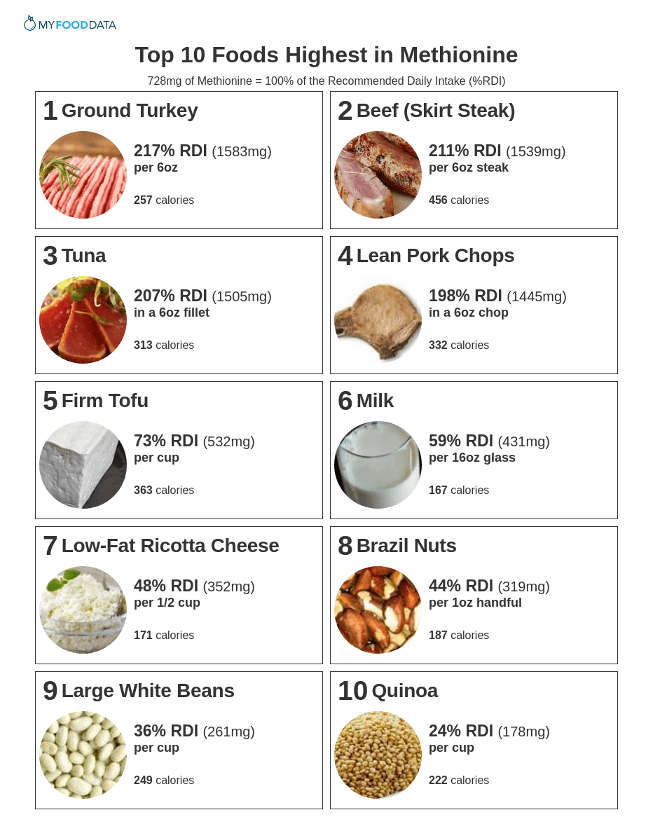 Top 10 Foods Highest in Methionine