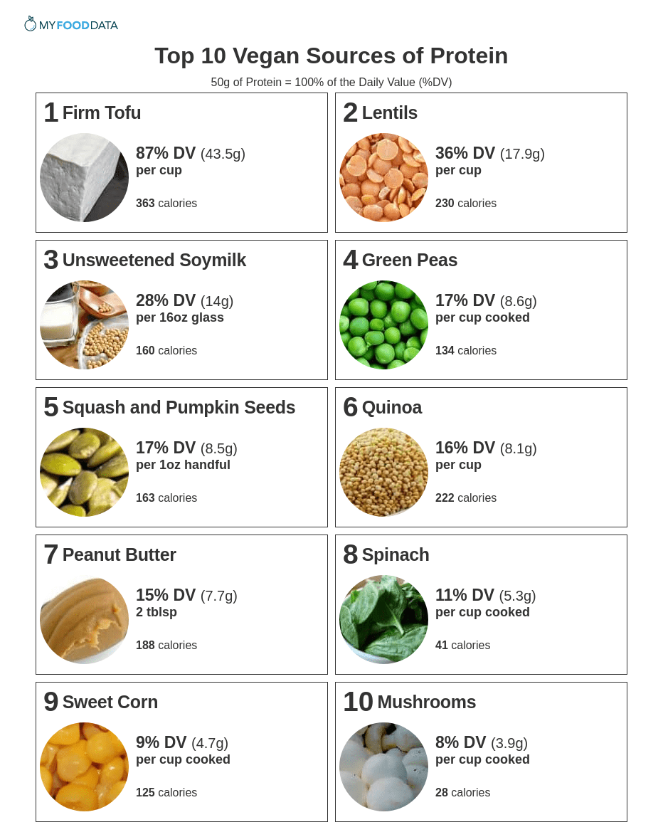 How to Make List Of Vegetarian Protein Foods