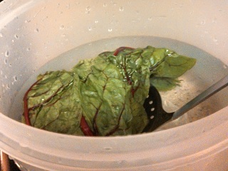 swiss-chard-blanch2.jpg